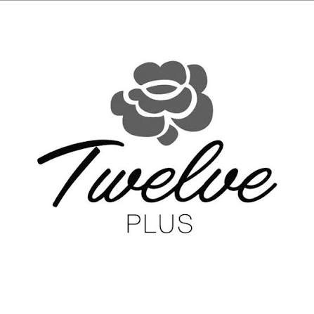 Twelve Plus