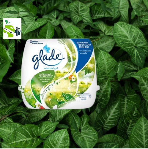 Glade Scented Gel Air Freshner 180g